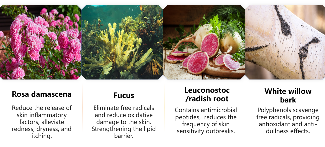 toner spray riequilibrante