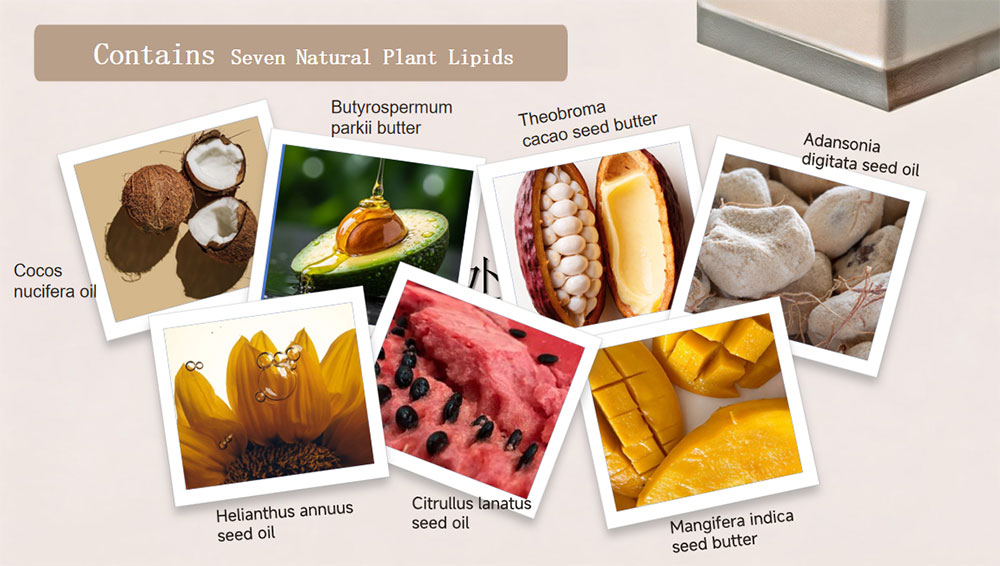 Ingredienti chiave del latte corpo body milk key ingredients